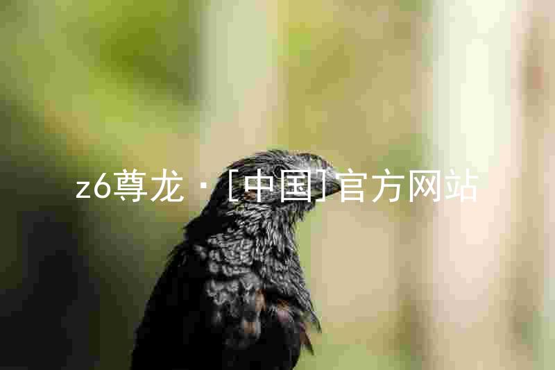z6尊龙·[中国]官方网站