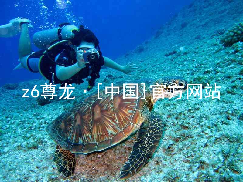 z6尊龙·[中国]官方网站
